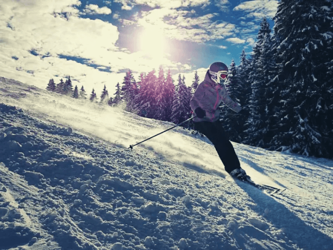 ČERPADLO WERTER SUB 1100 S PLOVÁKEM píšťala